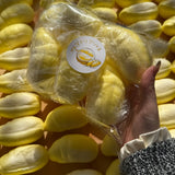 Jumbo Durian Flesh Squishy