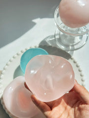 Pastel Coconut Oil Squishy Ball