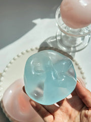 Pastel Coconut Oil Squishy Ball