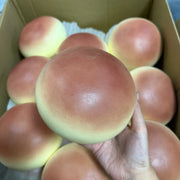 Jumbo Soy Milk Steamed Bun Squishy