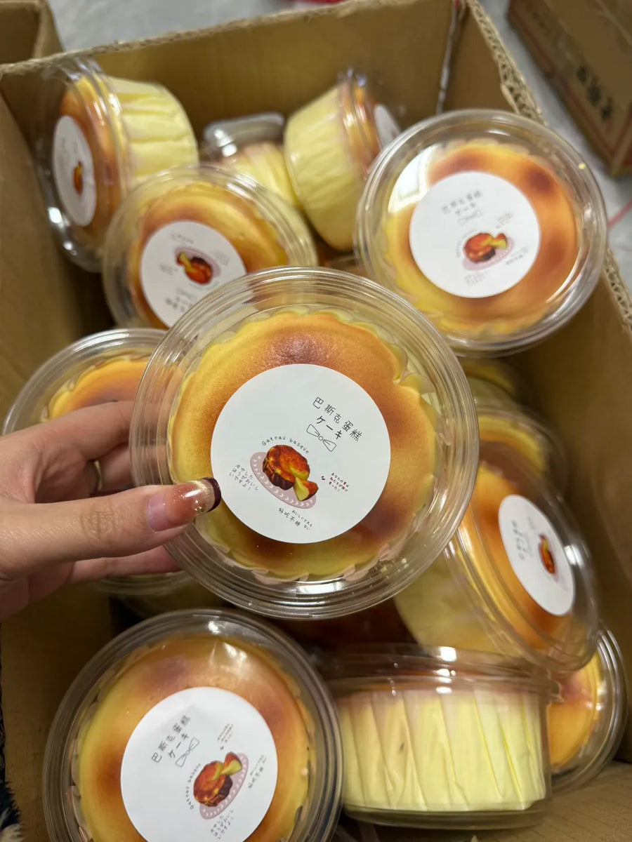 Basque Cheesecake Squishy