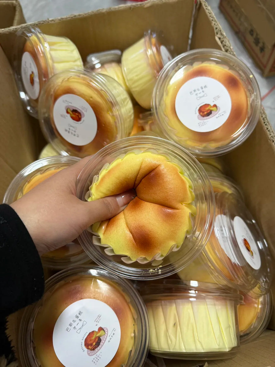 Basque Cheesecake Squishy