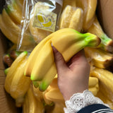 Speckled Banana Bunch Squishy