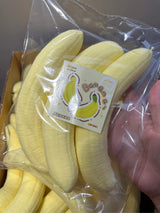 Clearance Banana Pulp Duo Squishy — image 1