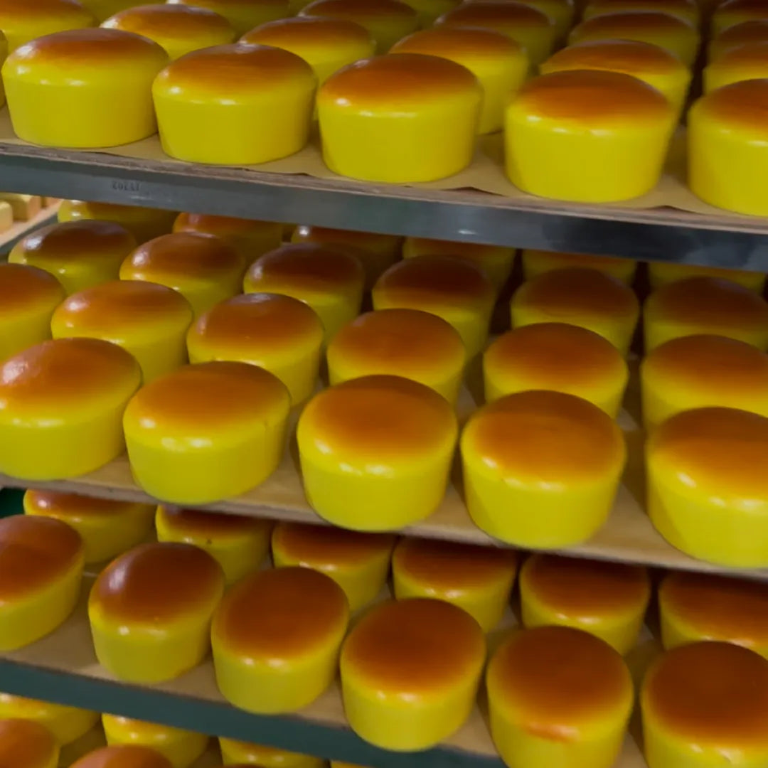 Blemished Jumbo Half-Baked Cheesecake Squishy — image 3