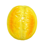 Golden Cruller — HB004-FRONT — Product-only cutout from original photo