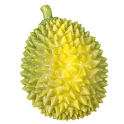 Little Durian — HB006-ANGLE — Product-only cutout from original photo