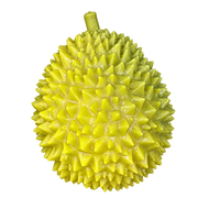 Little Durian — HB006-FRONT — Product-only cutout from original photo