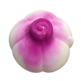 Purple-Tipped Bulb — HB019-TOP — Product-only cutout from original photo
