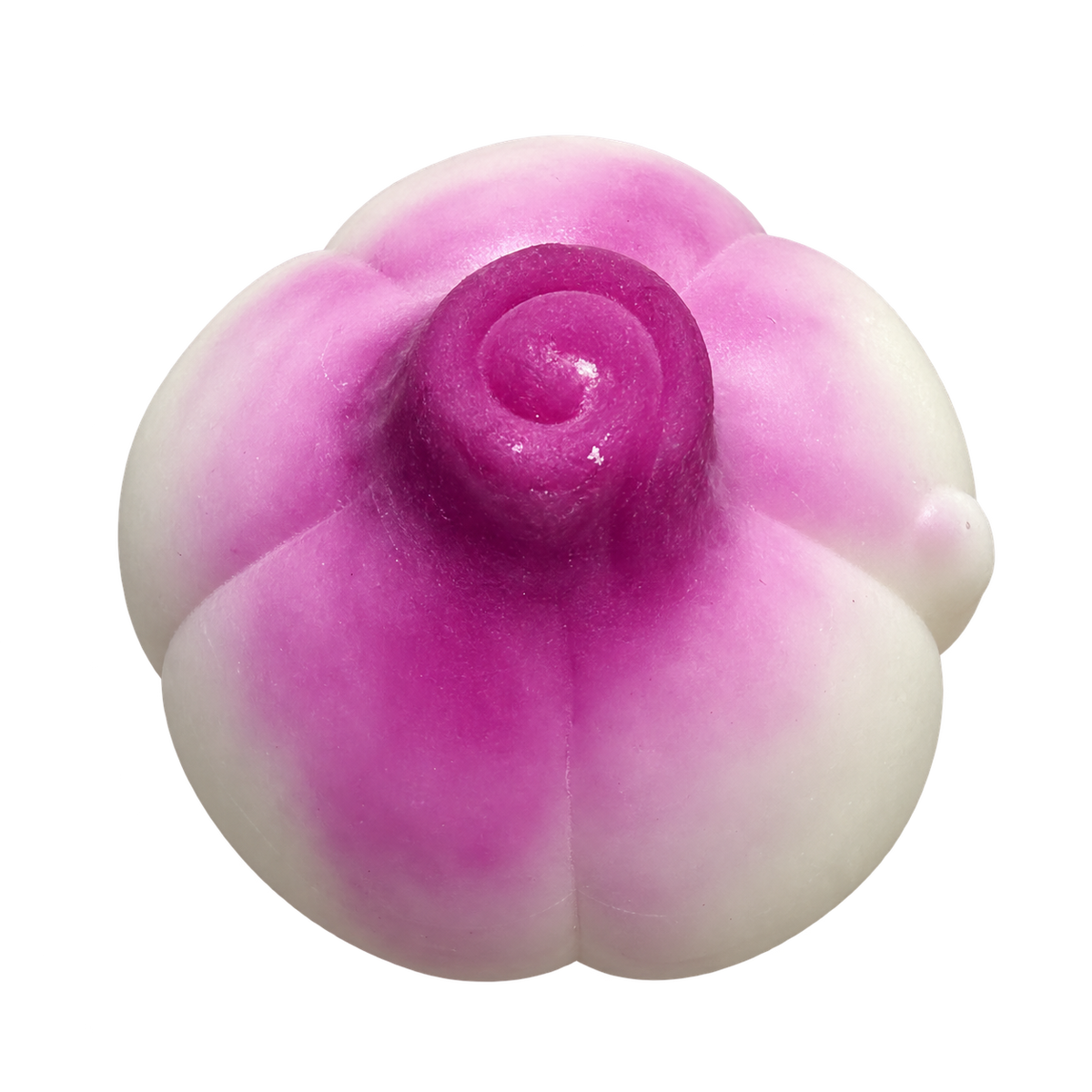Purple-Tipped Bulb — HB019-TOP — Product-only cutout from original photo