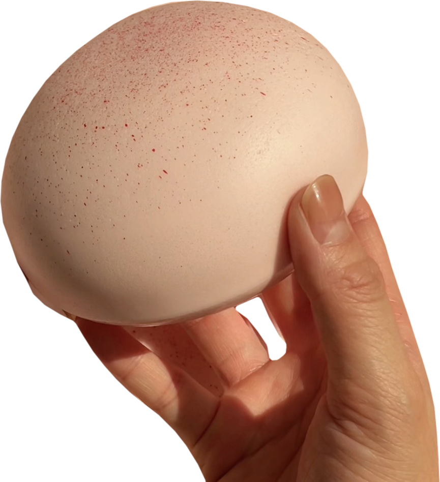 Soft Bun Squishy — strawberry soft cheese bun held in hand