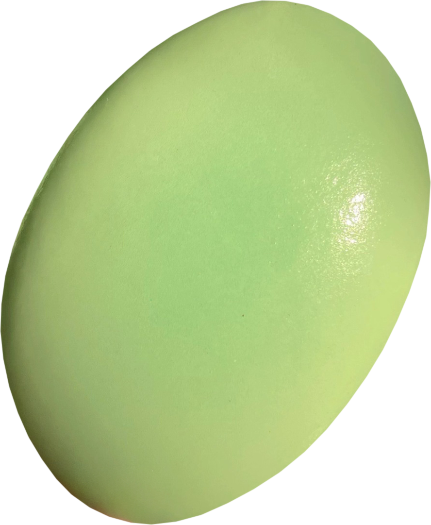 Oval Cheesecake Squishy — product only