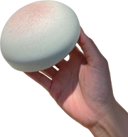 Soft Bun Squishy — hand and product cutout