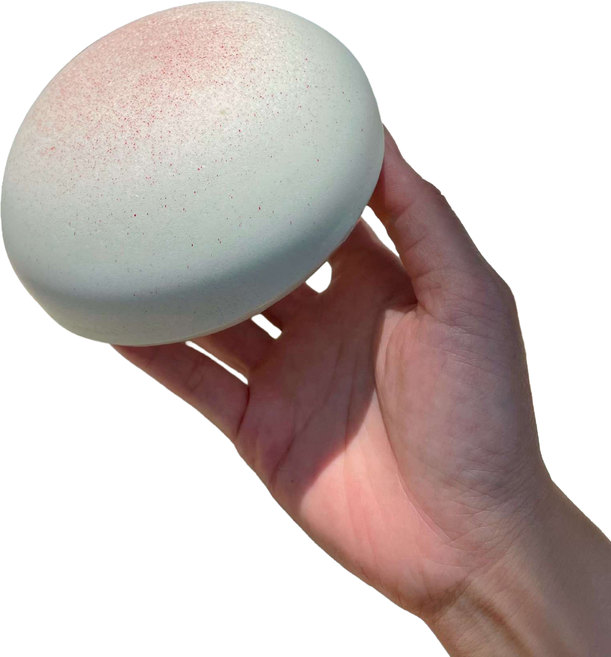 Soft Bun Squishy — hand and product cutout