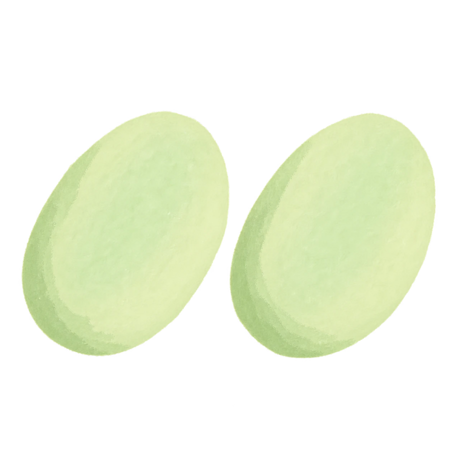 Oval Cheesecake Squishy — PLM-SR-06B1DA26C49EEE67 — Hand-painted illustration
