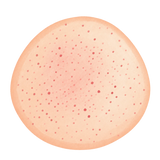 Soft Bun Squishy — PLM-SR-96F838424B23735C — Hand-painted illustration