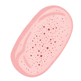 Peach Bread Squishy — PLM-SR-CC14A401F8D136DF — Hand-painted illustration