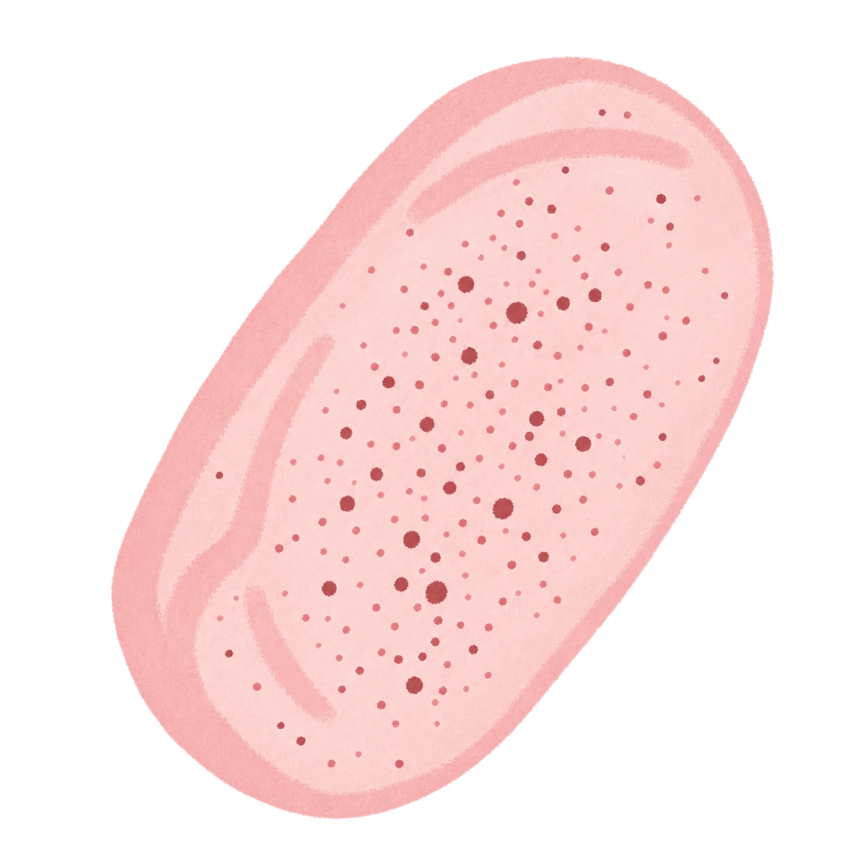 Peach Bread Squishy — PLM-SR-CC14A401F8D136DF — Hand-painted illustration