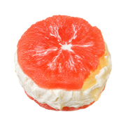 Grapefruit Yogurt Sandwich Taba Squishy — One Style — isolated product view