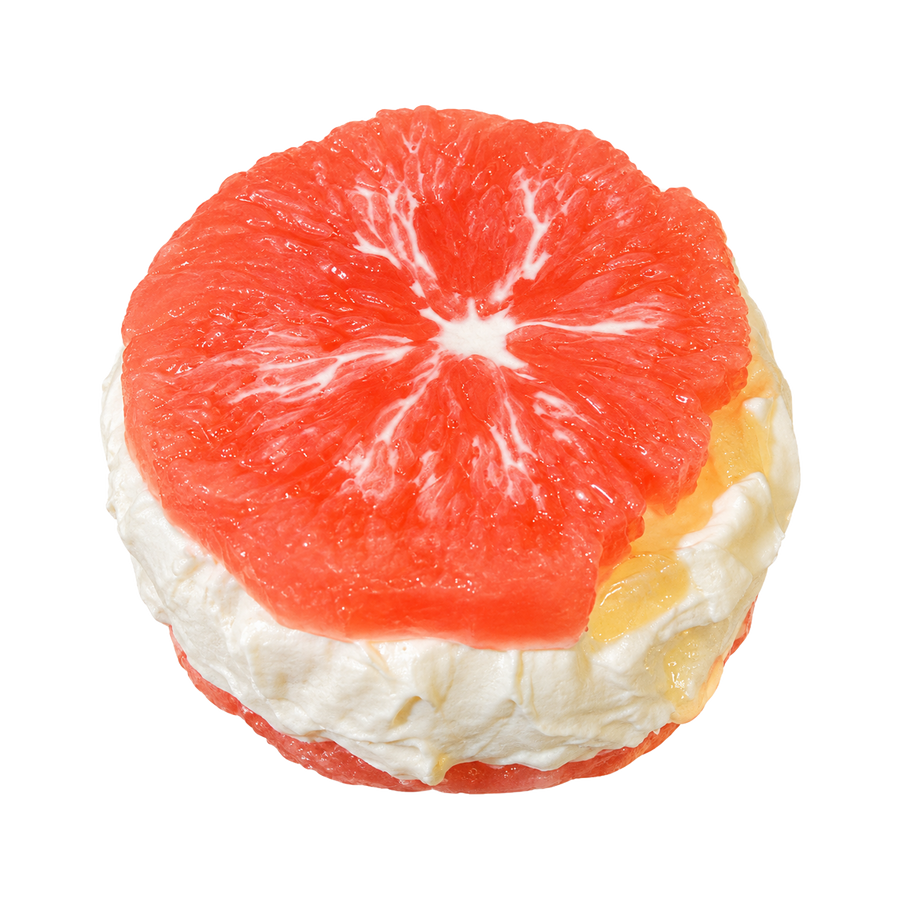Grapefruit Yogurt Sandwich Taba Squishy — One Style — isolated product view