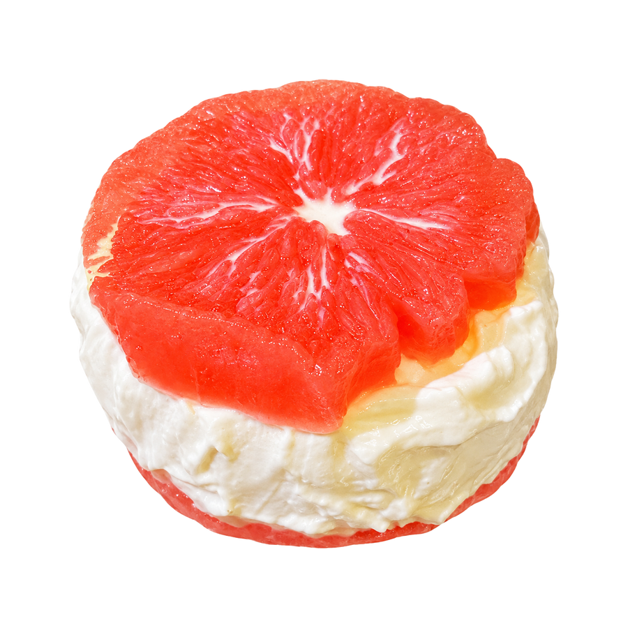 Grapefruit Yogurt Sandwich Taba Squishy — One Style — isolated product view 2