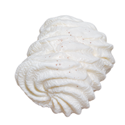 Mini Cream Roll Taba Squishy — One Style — isolated product view