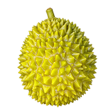 Little Durian — HB006-01 — Isolated product cutout
