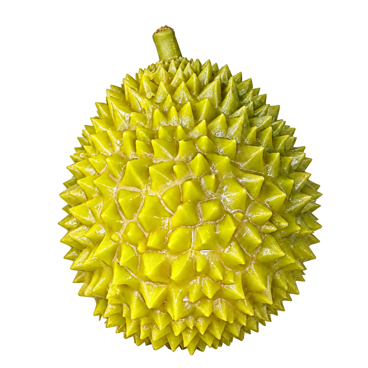 Little Durian — HB006-01 — Isolated product cutout