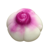 Purple-Tipped Bulb — HB019-01 — Isolated product cutout