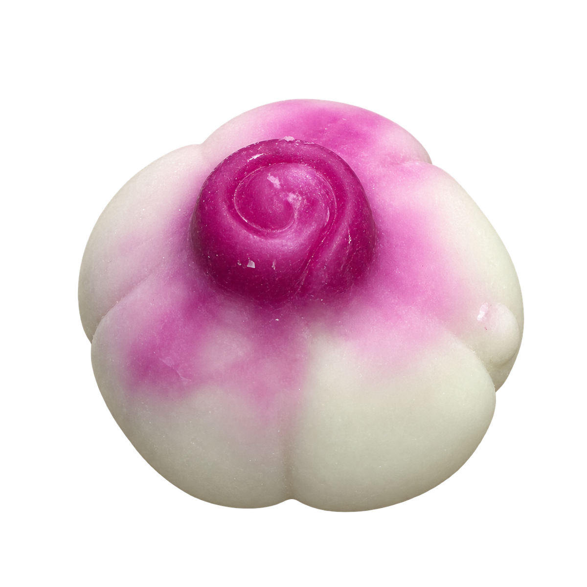 Purple-Tipped Bulb — HB019-01 — Isolated product cutout