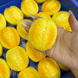 Golden Cruller — Original product photo 2